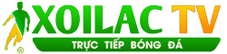vẽ tóc